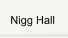 Nigg Hall